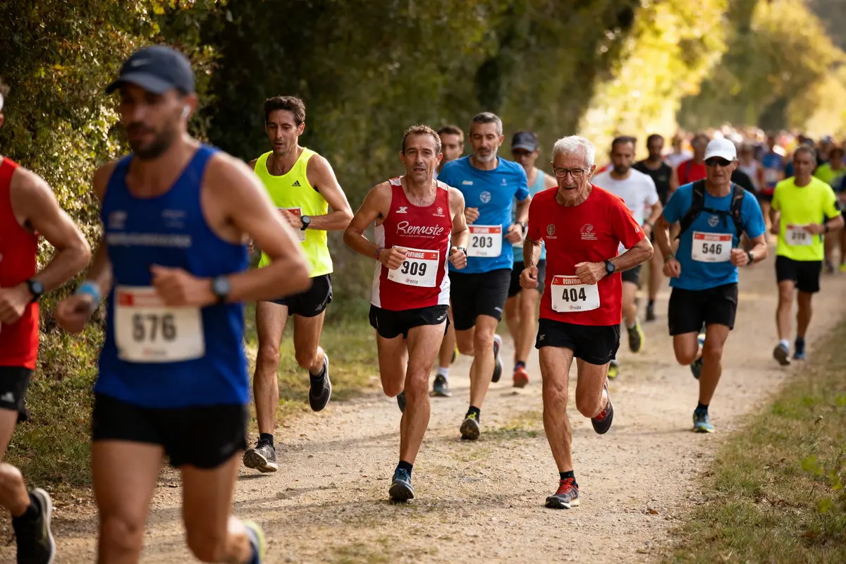 Un groupe de coureurs participant à une course sur un chemin forestier par une journée ensoleillée.