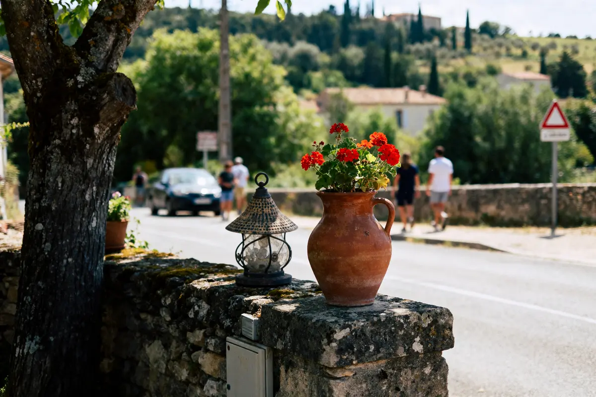 Pot en terre cuite avec fleurs rouges sur muret, route, passants et paysage boisé en arrière-plan.